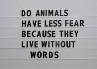 ANIMALS FEAR