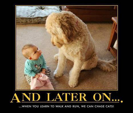 DOG AND BABY