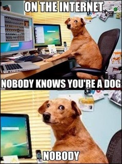 DOG ON INTERNET