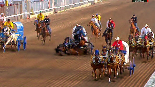 Calgary Stampede - 3 horses died
