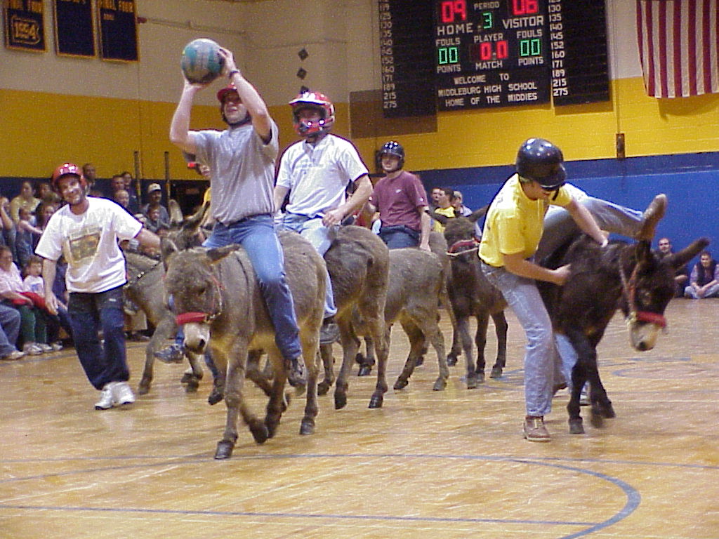 donkey basketball