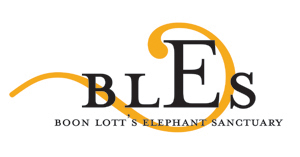BLES LOGO - bles logo_sm2