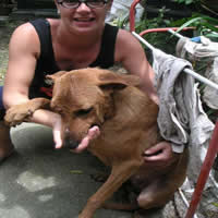 BUDDY AFTER