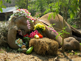 SOMSRI AT PEACE - AT LAST