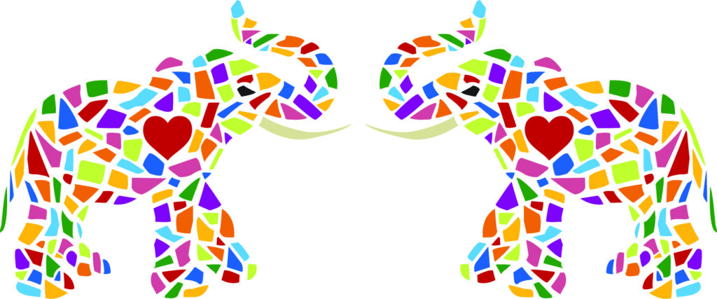 2 ELEPHANTS - NO TEXT