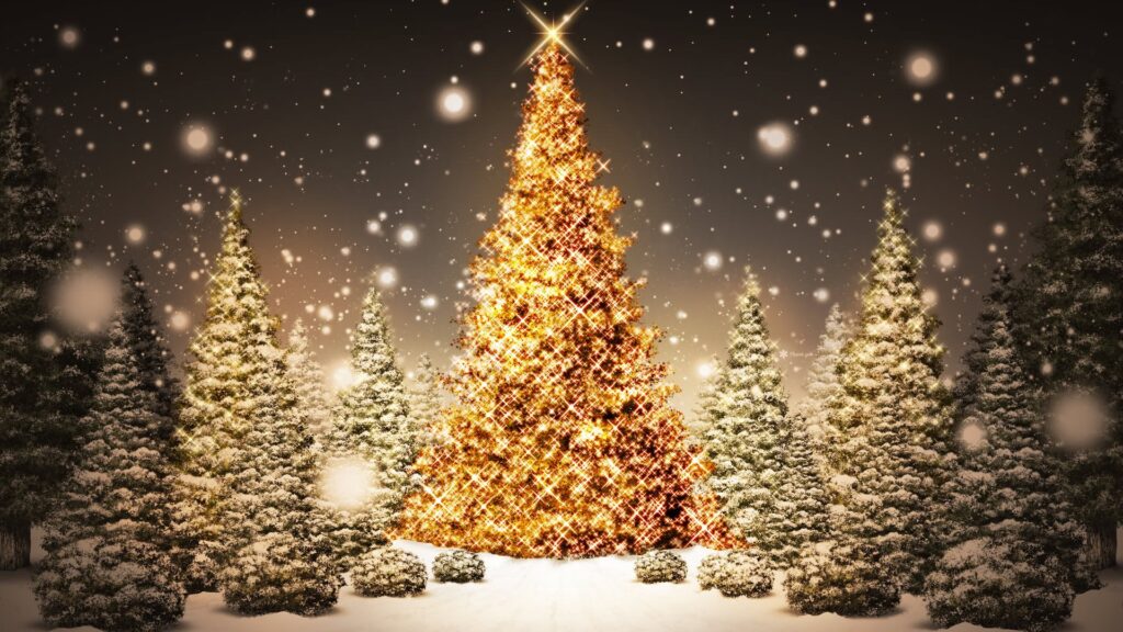 CHRISTMAS TREES