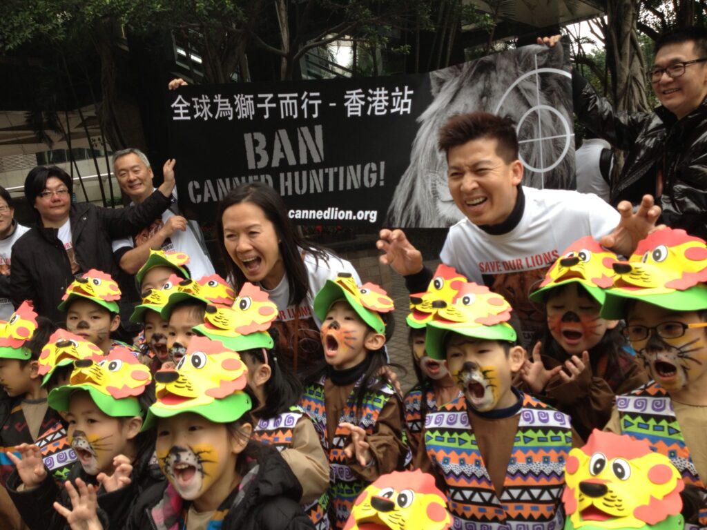 LION KIDS 11