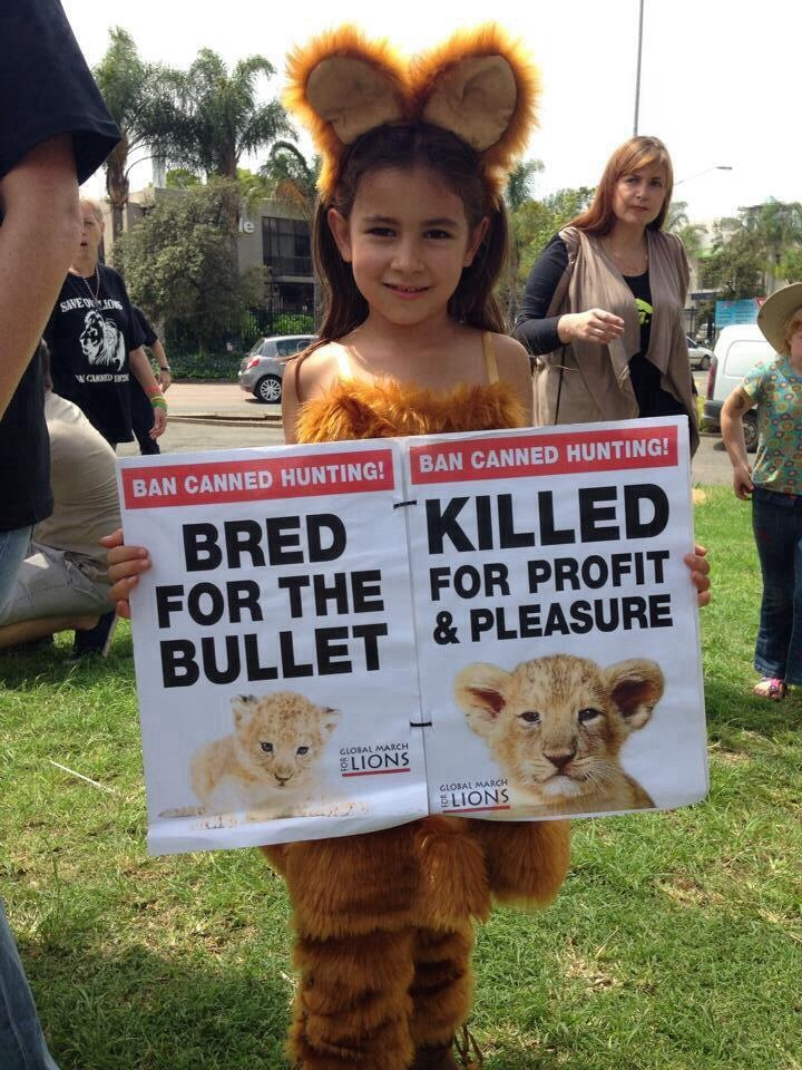 LION KIDS 41