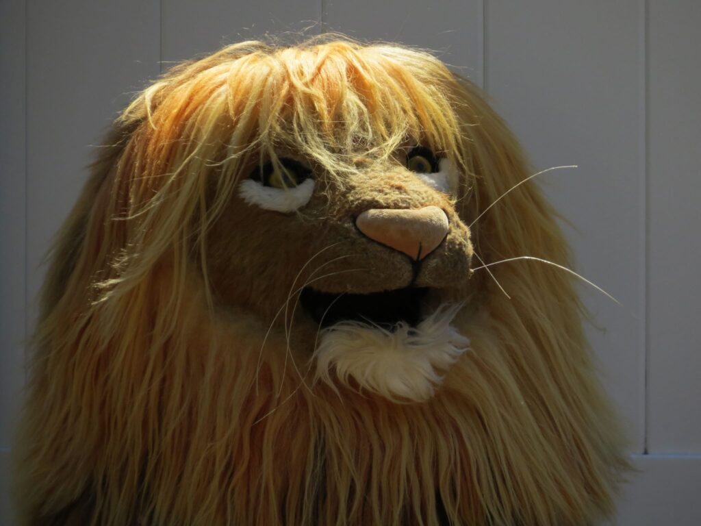 LION KIDS G