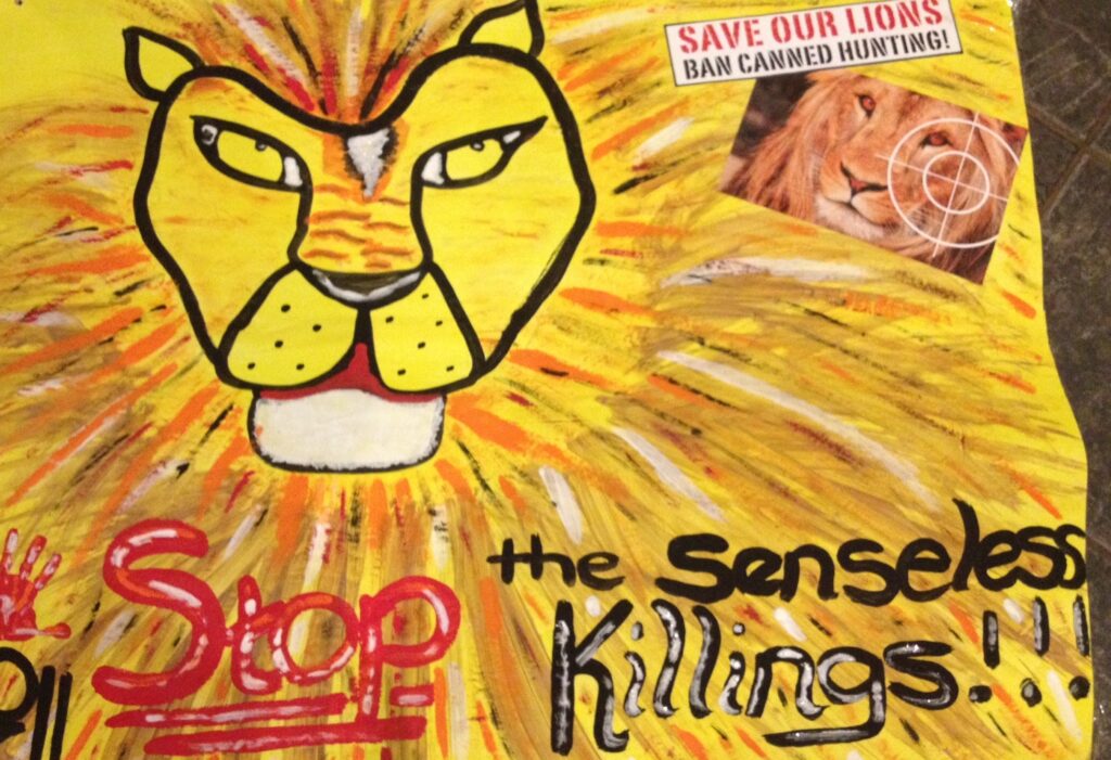 LION KIDS M2