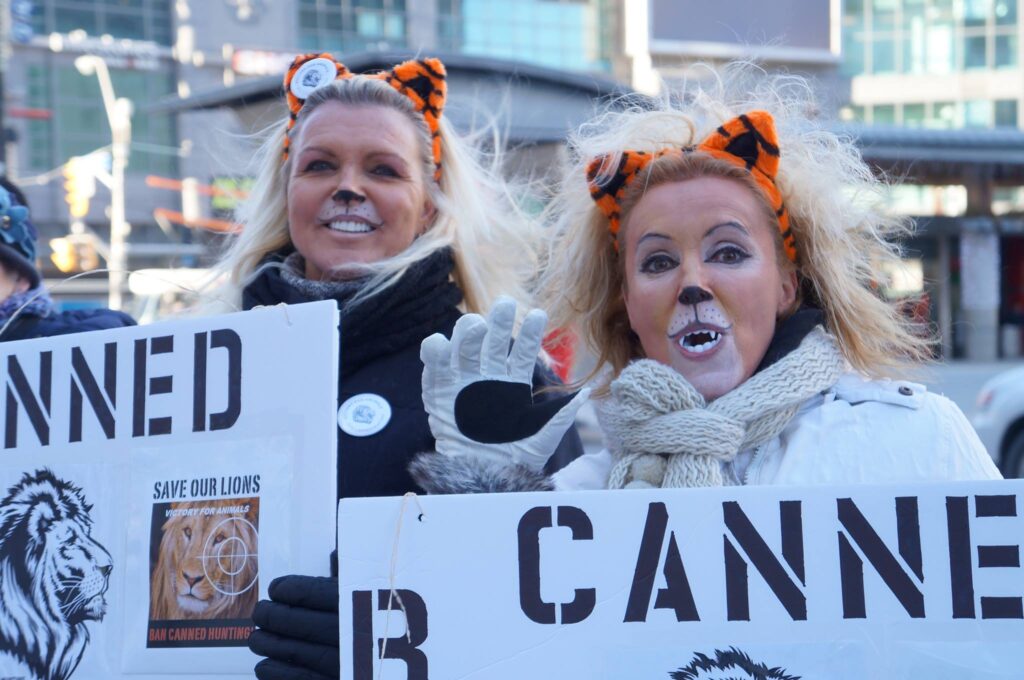 LION KIDS - TORONTO BIG KIDS