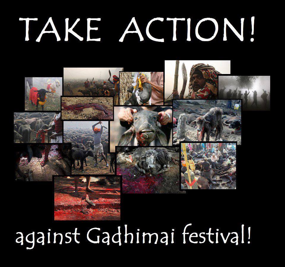 NEPAL - GADHIMAI FESTIVAL - NOVEMBER