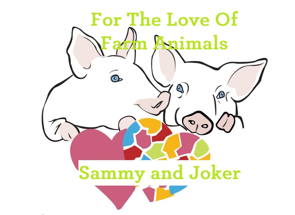 2 PIGS - GREEN - SAMMY AND JOKER